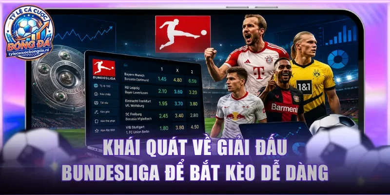 Khái quát về giải đấu Bundesliga để bắt kèo dễ dàng