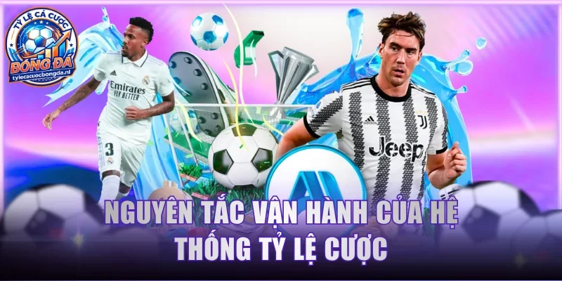 Nguyên tắc vận hành của hệ thống tỷ lệ cược