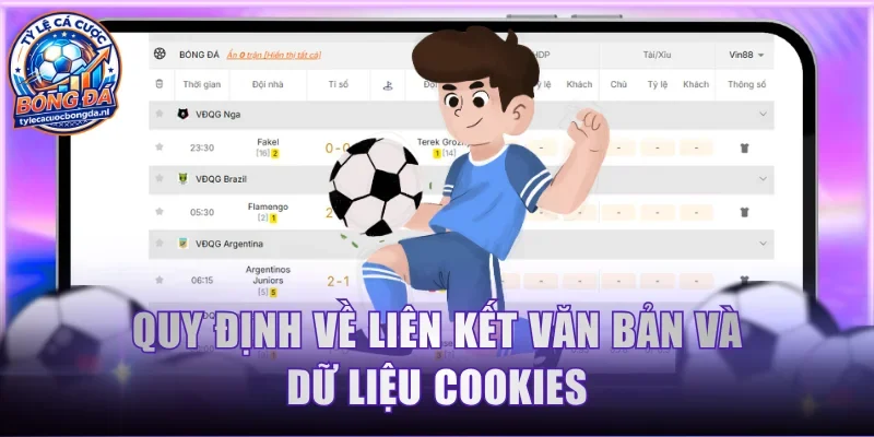 Quy định về liên kết văn bản và dữ liệu Cookies