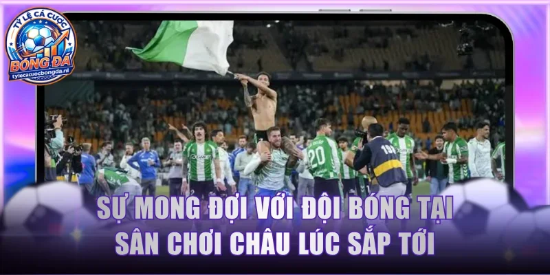 Sự mong đợi với đội bóng tại sân chơi châu lúc sắp tới