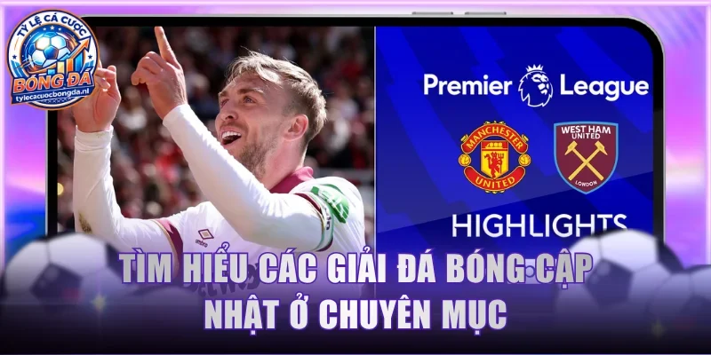 Tìm hiểu các giải đá bóng cập nhật ở chuyên mục