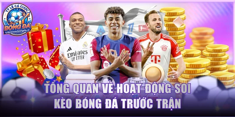 Tổng quan về hoạt động soi kèo bóng đá trước trận