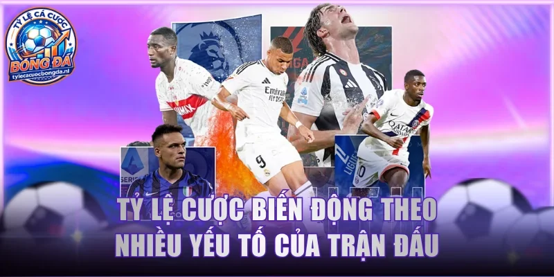 Tỷ lệ cược biến động theo nhiều yếu tố của trận đấu